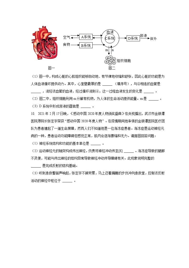 2022-2023学年四川省泸州市合江县七年级（下）期末生物模拟试卷（含解析）第3页