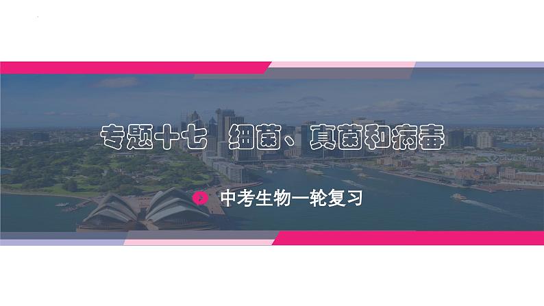 专题17 细菌、真菌和病毒（课件精讲）-2023年中考生物一轮复习讲练测01