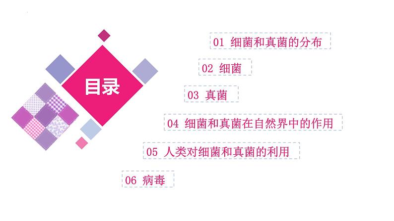 专题17 细菌、真菌和病毒（课件精讲）-2023年中考生物一轮复习讲练测03