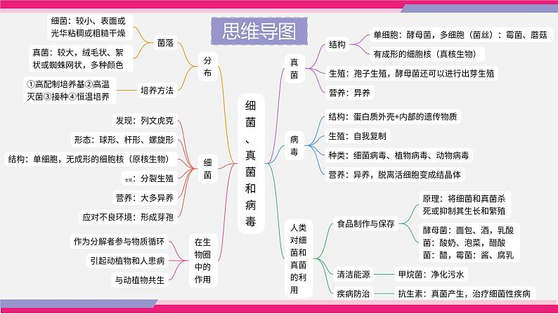 专题17 细菌、真菌和病毒（课件精讲）-2023年中考生物一轮复习讲练测05