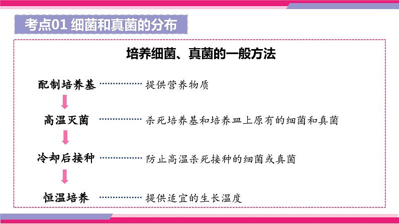 专题17 细菌、真菌和病毒（课件精讲）-2023年中考生物一轮复习讲练测08