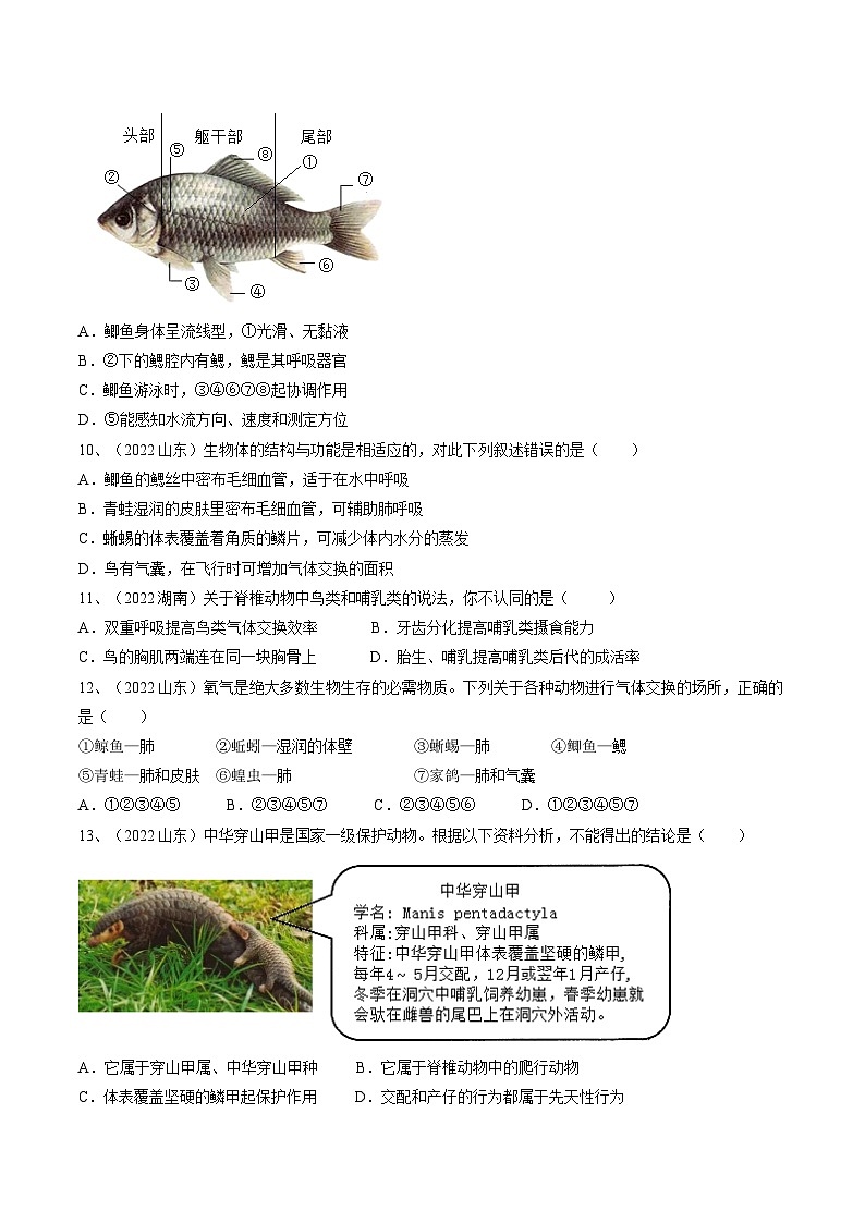 专题15 动物的主要类群（专题精练）-2023年中考生物一轮复习讲练测（原卷版）第3页