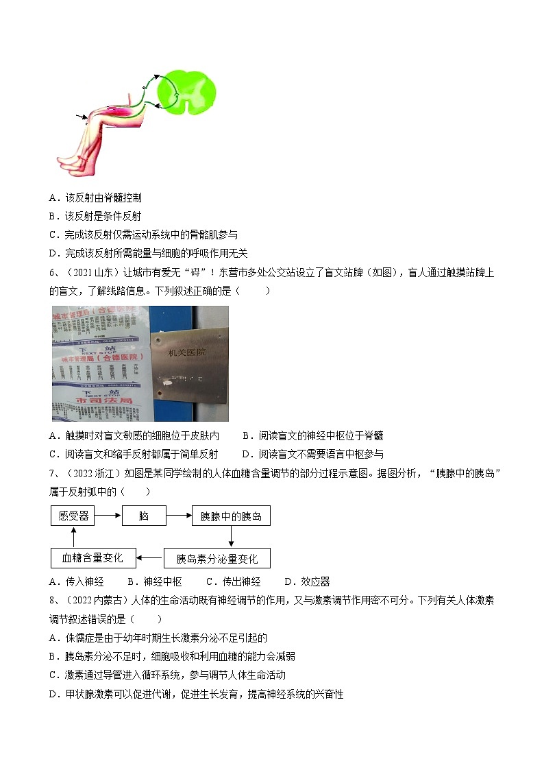 专题14 人体生命活动的调节（专题精练）-2023年中考生物一轮复习讲练测（原卷版）第2页