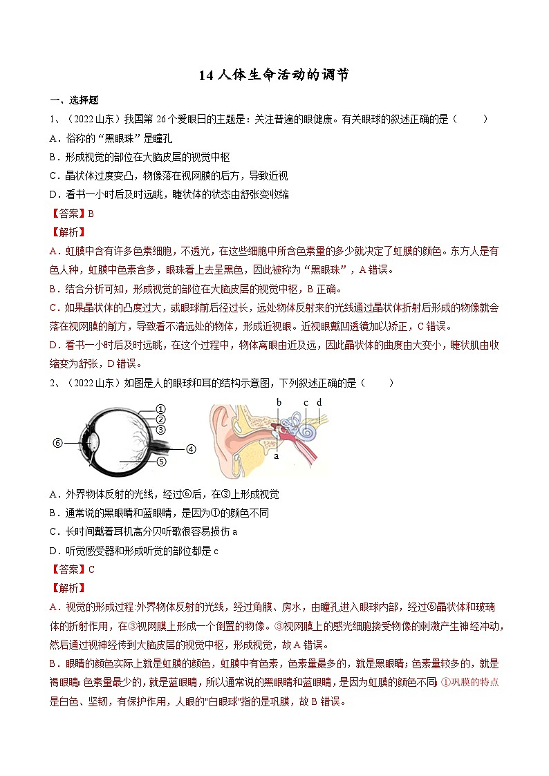 专题14 人体生命活动的调节（专题精练）-2023年中考生物一轮复习讲练测（解析版）第1页