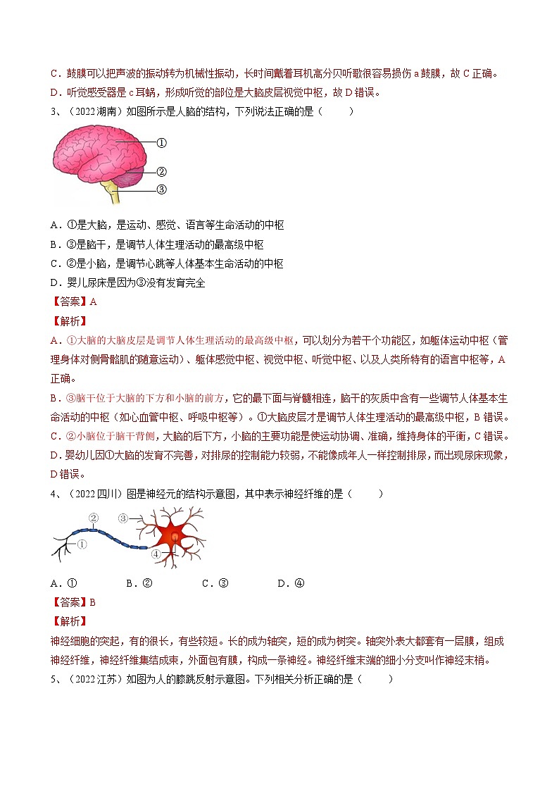 专题14 人体生命活动的调节（专题精练）-2023年中考生物一轮复习讲练测（解析版）第2页