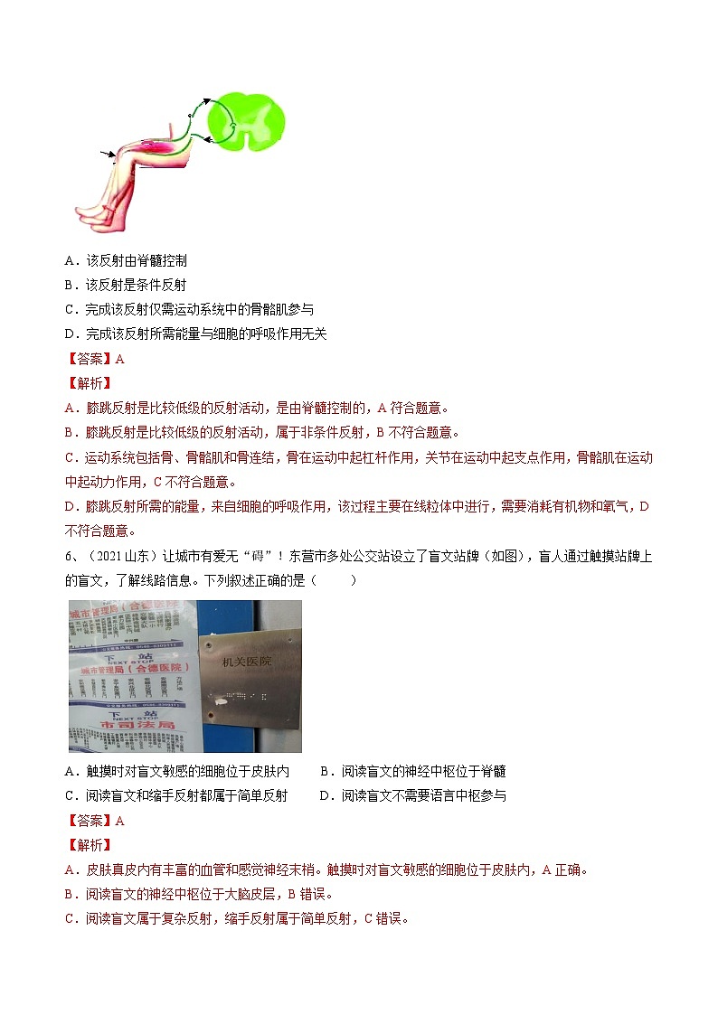 专题14 人体生命活动的调节（专题精练）-2023年中考生物一轮复习讲练测（解析版）第3页