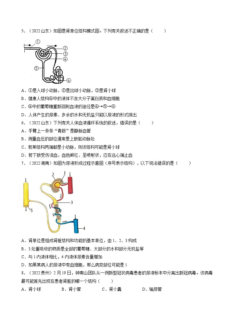 专题13 人体内废物的排出（专题精练）-2023年中考生物一轮复习讲练测（原卷版）02