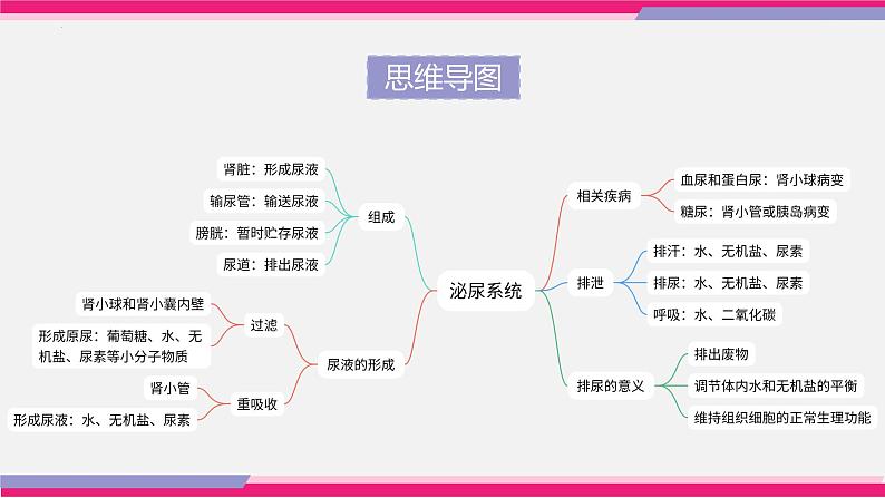 专题13 人体内废物的排出（课件精讲）-2023年中考生物一轮复习讲练测05