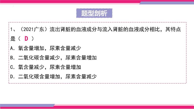 专题13 人体内废物的排出（课件精讲）-2023年中考生物一轮复习讲练测07