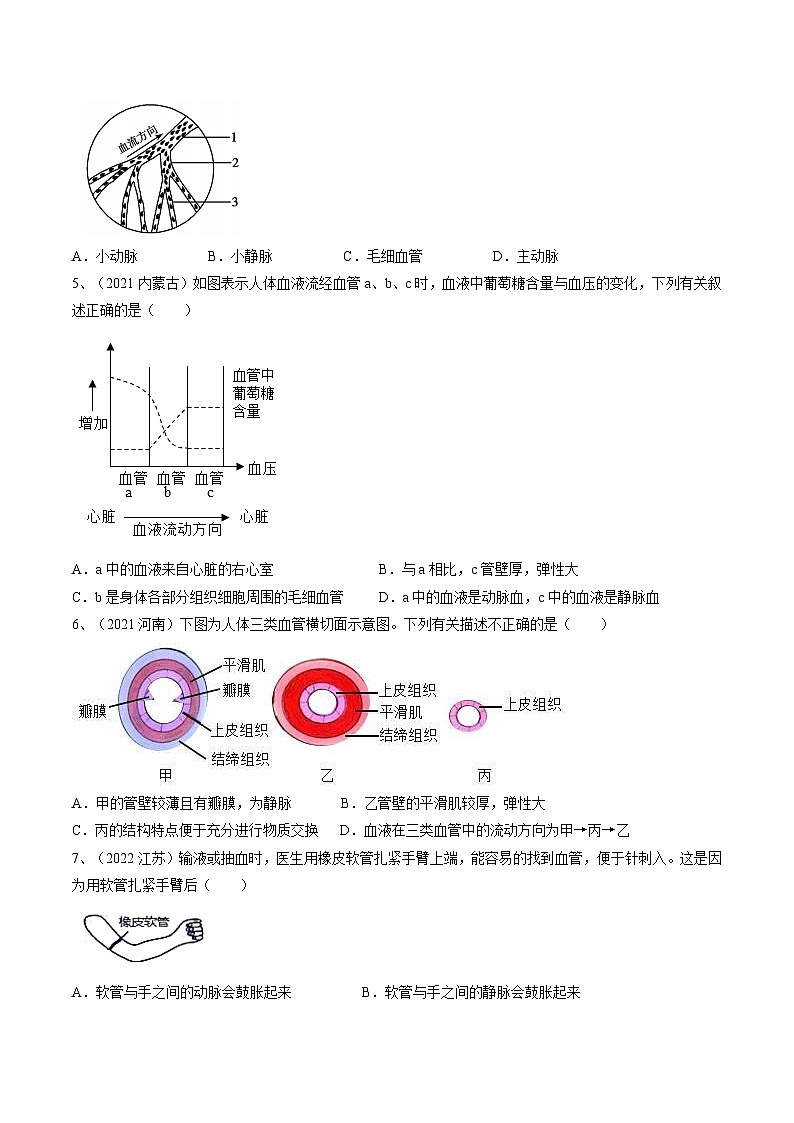 专题12 人体内物质的运输（专题精练）-2023年中考生物一轮复习讲练测（原卷版）02