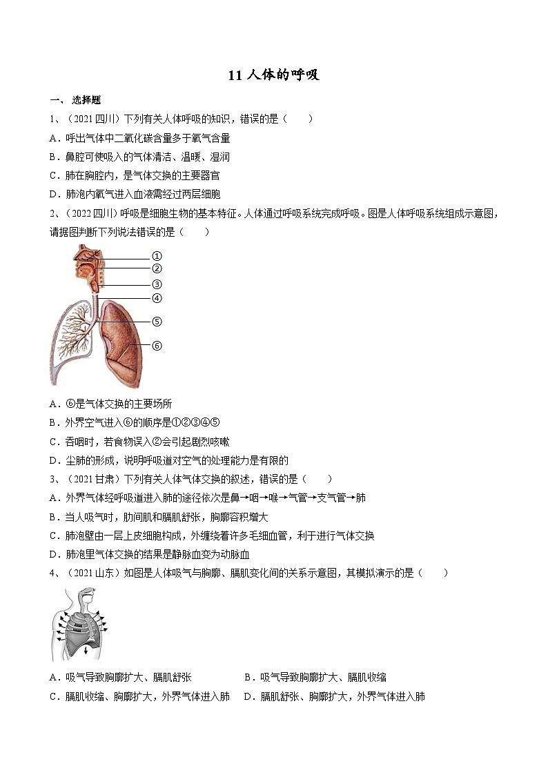专题11 人体的呼吸（专题精练）-2023年中考生物一轮复习讲练测（原卷版）第1页