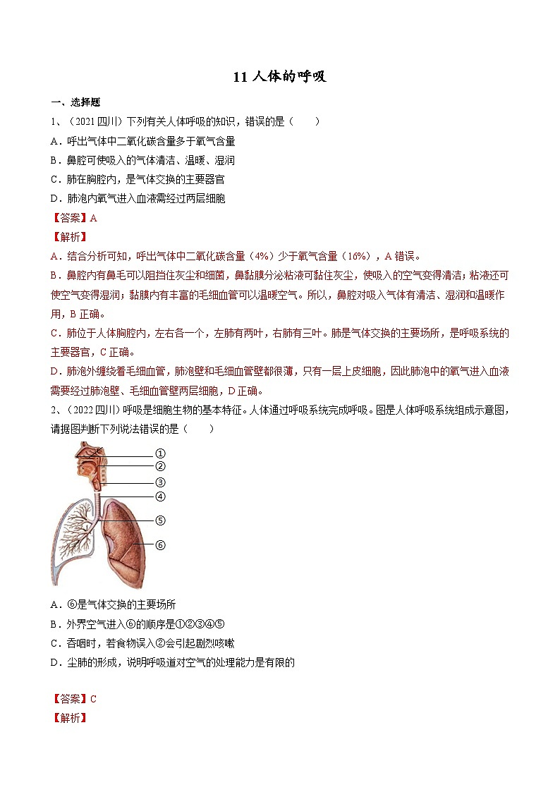 专题11 人体的呼吸（专题精练）-2023年中考生物一轮复习讲练测（解析版）第1页