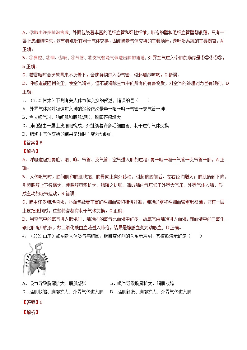 专题11 人体的呼吸（专题精练）-2023年中考生物一轮复习讲练测（解析版）第2页