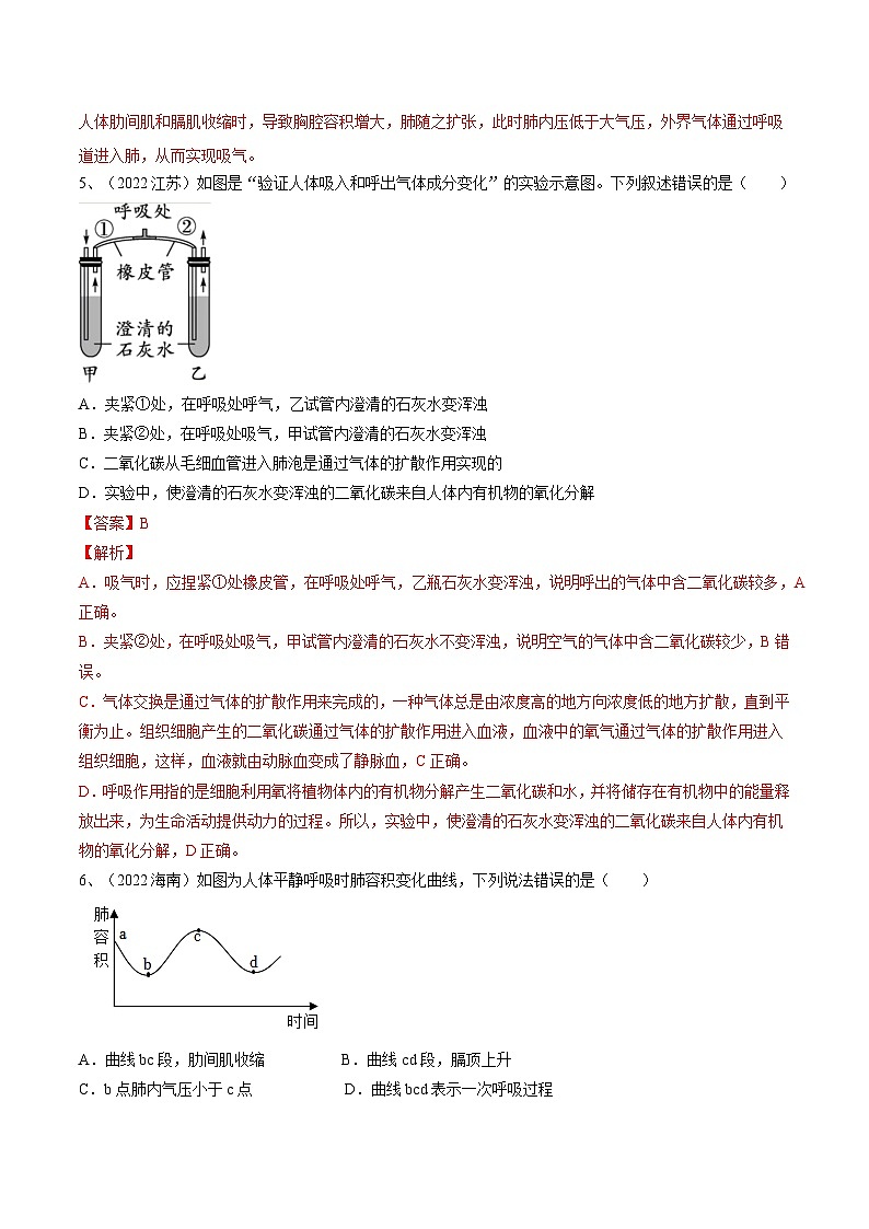 专题11 人体的呼吸（专题精练）-2023年中考生物一轮复习讲练测（解析版）第3页