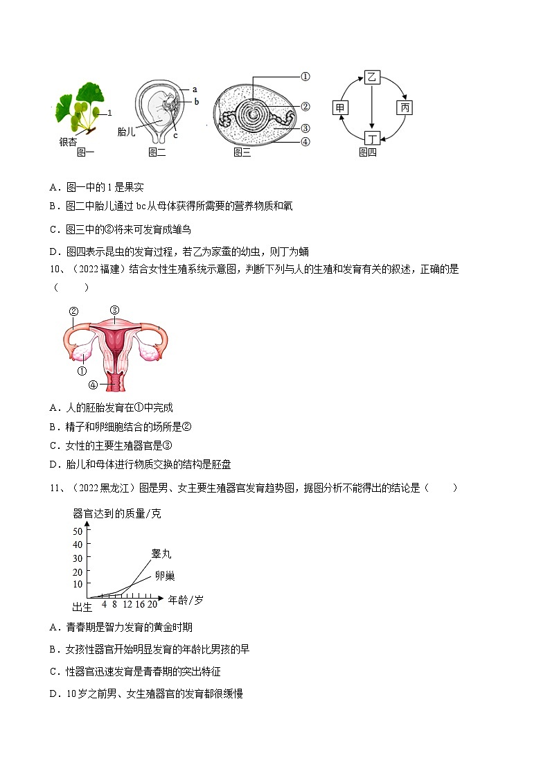 专题09 人的由来（专题精练）-2023年中考生物一轮复习讲练测（原卷版）03