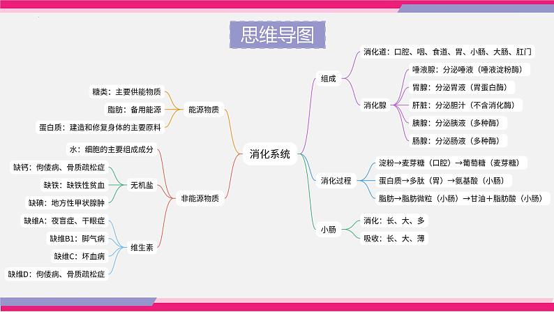 专题10 人体的营养（课件精讲）-2023年中考生物一轮复习讲练测05