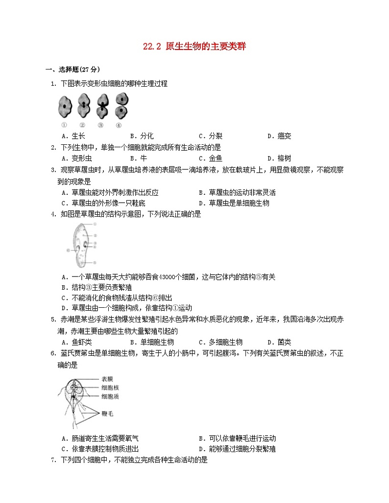 2023八年级生物下册第7单元生命的演化第22章物种的多样性22.2原生生物的主要类群同步检测含解析新版北师大版01