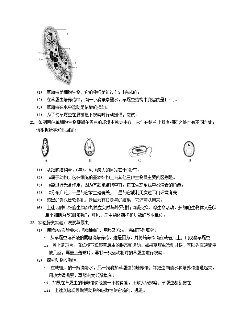 2023八年级生物下册第7单元生命的演化第22章物种的多样性22.2原生生物的主要类群同步检测含解析新版北师大版03