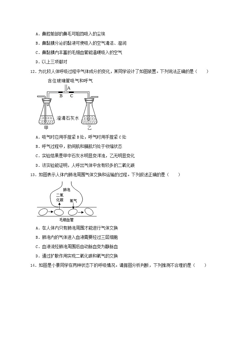 2023七年级生物下册第四单元生物圈中的人第十章人体的能量供应检测题新版北师大版03