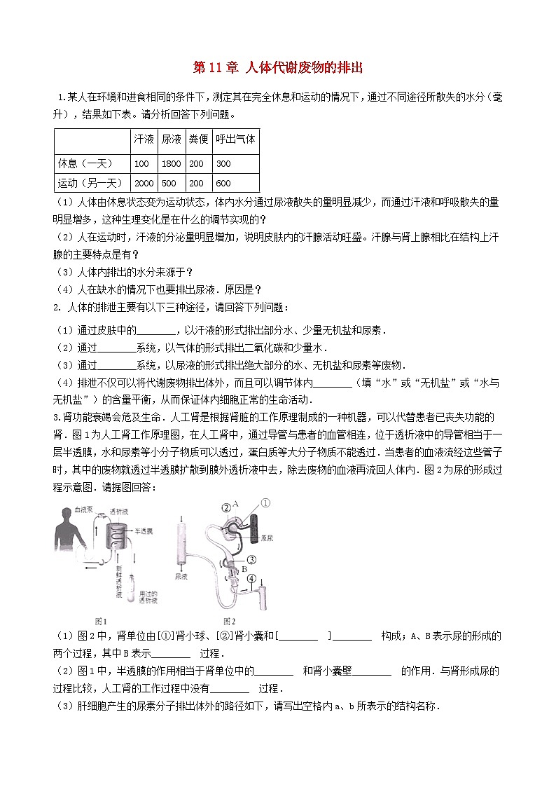 2023七年级生物下册第四单元生物圈中的人第11章人体代谢废物的排出综合题训练新版北师大版第1页