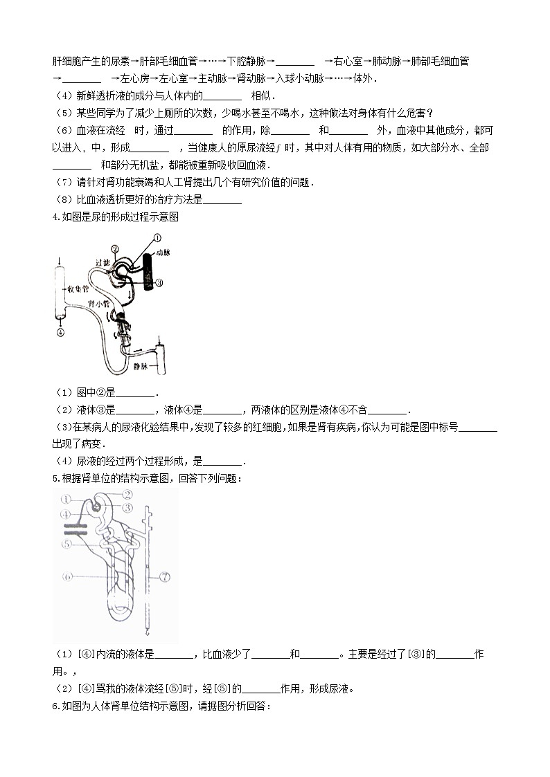 2023七年级生物下册第四单元生物圈中的人第11章人体代谢废物的排出综合题训练新版北师大版第2页