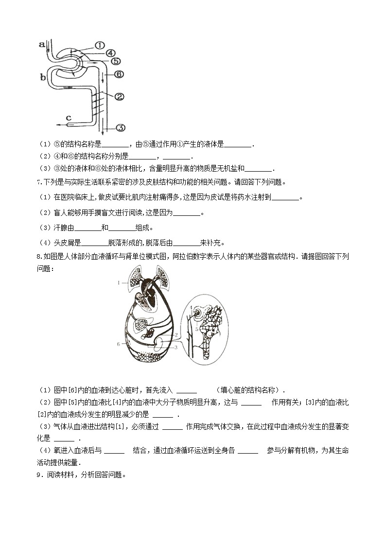 2023七年级生物下册第四单元生物圈中的人第11章人体代谢废物的排出综合题训练新版北师大版第3页