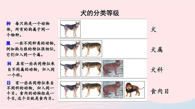 2023八年级生物下册第7单元生命的演化第22章物种的多样性第1节生物的分类上课课件新版北师大版第8页