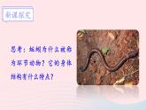 2023八年级生物下册第7单元生命的演化第22章物种的多样性第4节动物的主要类群第2课时环节动物和节肢动物上课课件新版北师大版