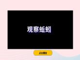 2023八年级生物下册第7单元生命的演化第22章物种的多样性第4节动物的主要类群第2课时环节动物和节肢动物上课课件新版北师大版