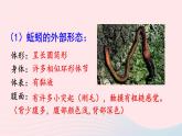 2023八年级生物下册第7单元生命的演化第22章物种的多样性第4节动物的主要类群第2课时环节动物和节肢动物上课课件新版北师大版