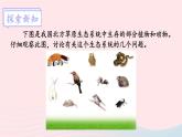 2023八年级生物下册第8单元生物与环境第23章生态系统及其稳定性第3节生态系统的结构和功能第1课时食物链和食物网上课课件新版北师大版