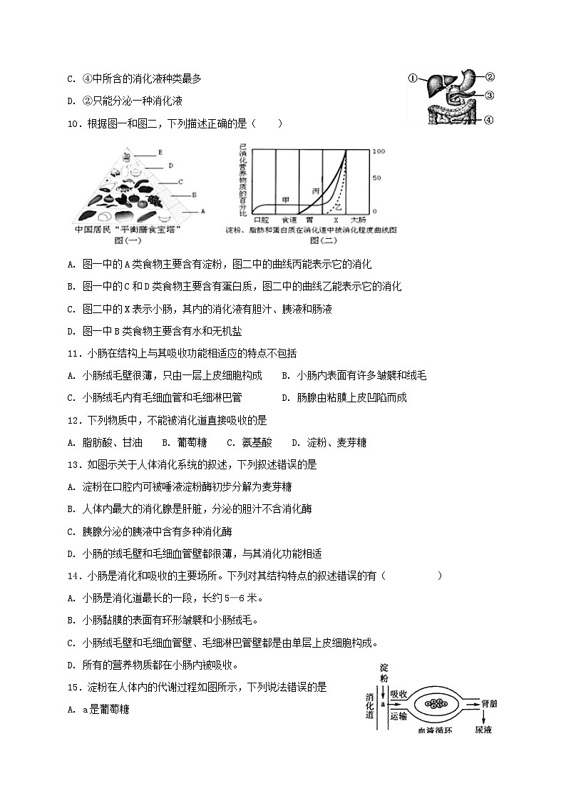 2023七年级生物下册第四单元生物圈中的人第八章人体的营养8.2食物的消化和营养吸收同步测试新版北师大版02