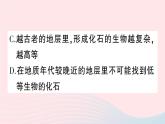 2023八年级生物下册期末复习一生命的演化作业课件新版北师大版
