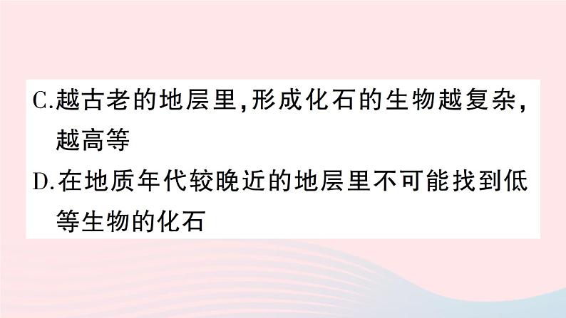 2023八年级生物下册期末复习一生命的演化作业课件新版北师大版第4页