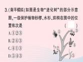 2023八年级生物下册期末复习一生命的演化作业课件新版北师大版