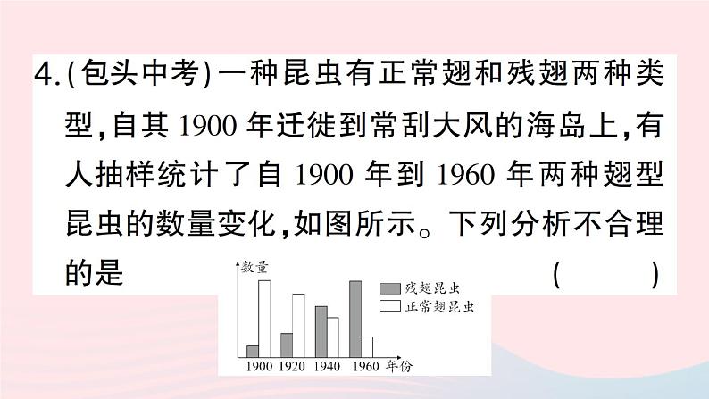 2023八年级生物下册期末复习一生命的演化作业课件新版北师大版第6页