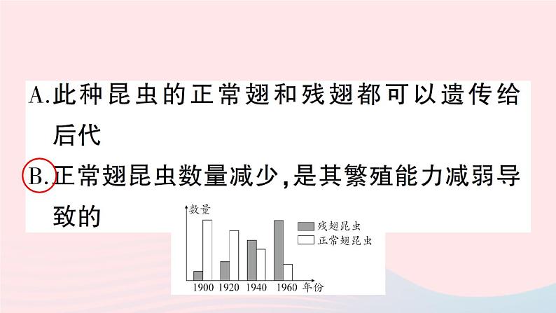 2023八年级生物下册期末复习一生命的演化作业课件新版北师大版第7页