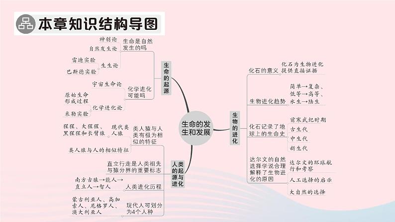 2023八年级生物下册第7单元生命的演化第21章生命的发生和发展总结训练作业课件新版北师大版02