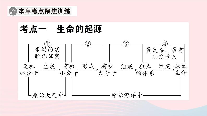 2023八年级生物下册第7单元生命的演化第21章生命的发生和发展总结训练作业课件新版北师大版03