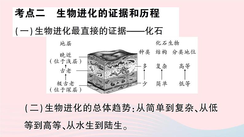 2023八年级生物下册第7单元生命的演化第21章生命的发生和发展总结训练作业课件新版北师大版07