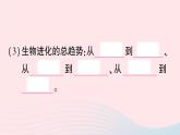 2023八年级生物下册第7单元生命的演化第21章生命的发生和发展第2节生物的进化第1课时生物进化的证据和历程作业课件新版北师大版