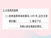2023八年级生物下册第7单元生命的演化第21章生命的发生和发展第2节生物的进化第2课时生物进化的原因作业课件新版北师大版