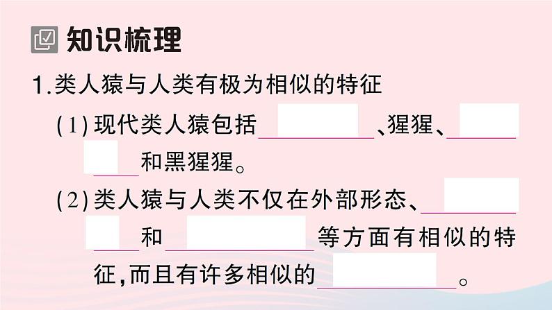 2023八年级生物下册第7单元生命的演化第21章生命的发生和发展第3节人类的起源与进化作业课件新版北师大版02