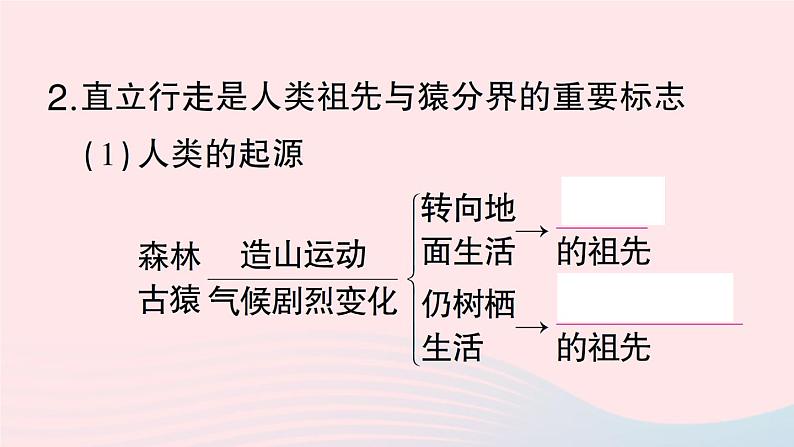 2023八年级生物下册第7单元生命的演化第21章生命的发生和发展第3节人类的起源与进化作业课件新版北师大版03