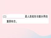 2023八年级生物下册第7单元生命的演化第21章生命的发生和发展第3节人类的起源与进化作业课件新版北师大版