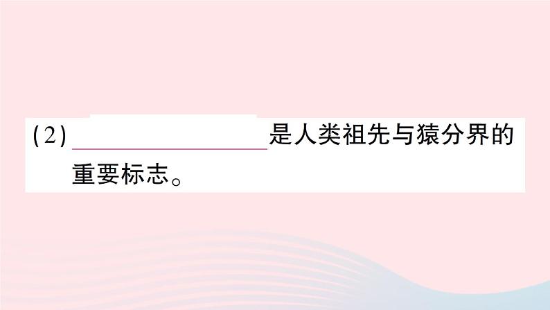 2023八年级生物下册第7单元生命的演化第21章生命的发生和发展第3节人类的起源与进化作业课件新版北师大版04