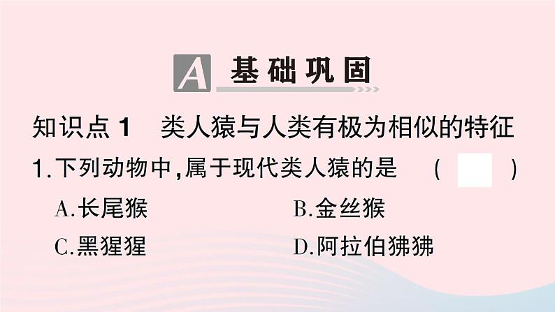 2023八年级生物下册第7单元生命的演化第21章生命的发生和发展第3节人类的起源与进化作业课件新版北师大版06