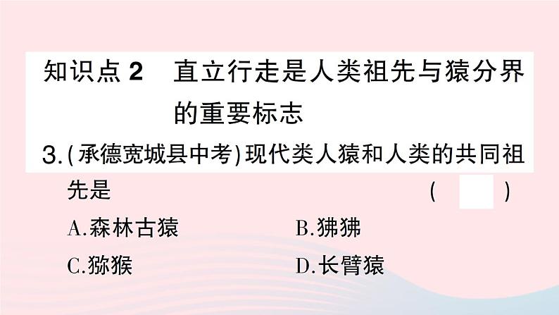 2023八年级生物下册第7单元生命的演化第21章生命的发生和发展第3节人类的起源与进化作业课件新版北师大版08