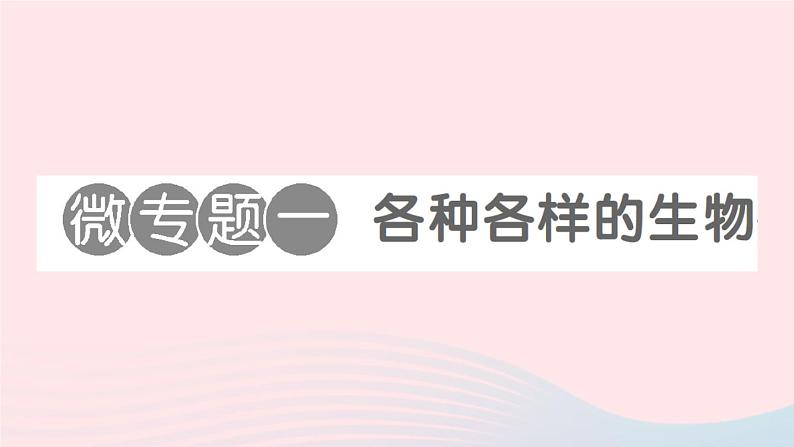 2023八年级生物下册第7单元生命的演化第22章物种的多样性微专题一各种各样的生物作业课件新版北师大版01