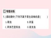 2023八年级生物下册第7单元生命的演化第22章物种的多样性微专题一各种各样的生物作业课件新版北师大版